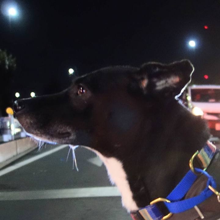 Fbe5f557 2bc9 48f4 9863 2d318f14dd77 1639652828182