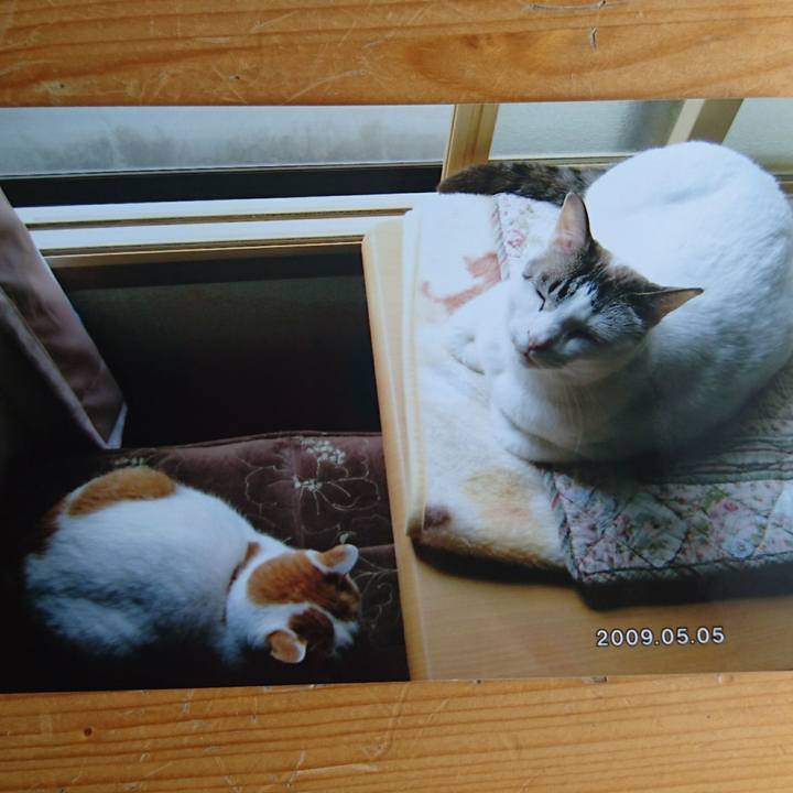 Fbe60380 70a4 4721 a398 8d5bfa5e9d47 1514696739785