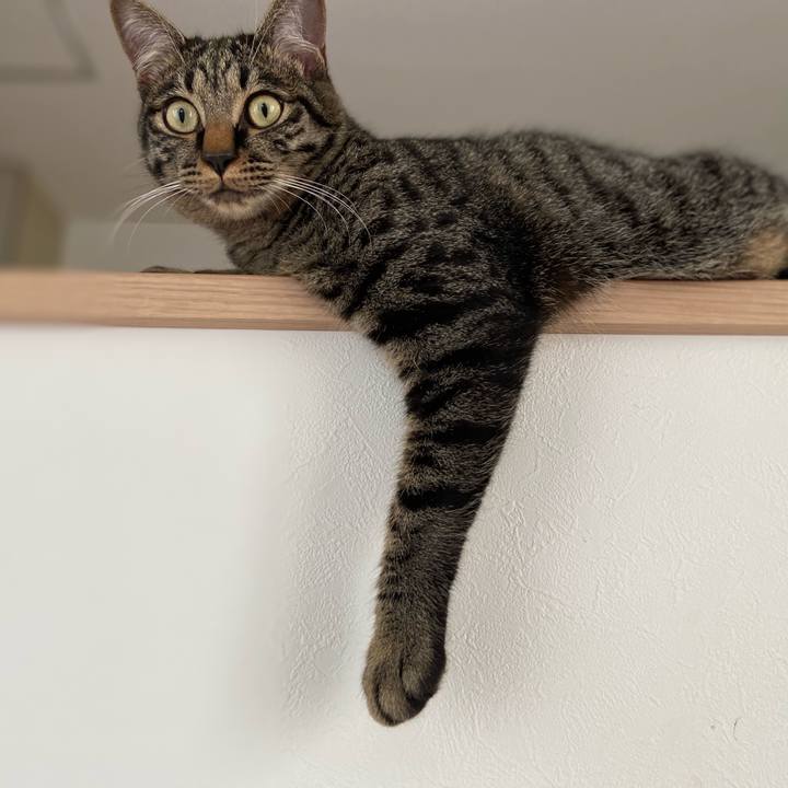 Fbe66082 dfd1 491e 82ca c8e67b4f76d1 1624184589119