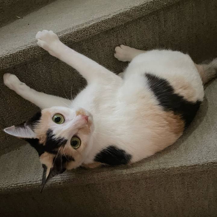 Fbe668e9 fd19 4328 9d8d 867b253944a2 1709001157102