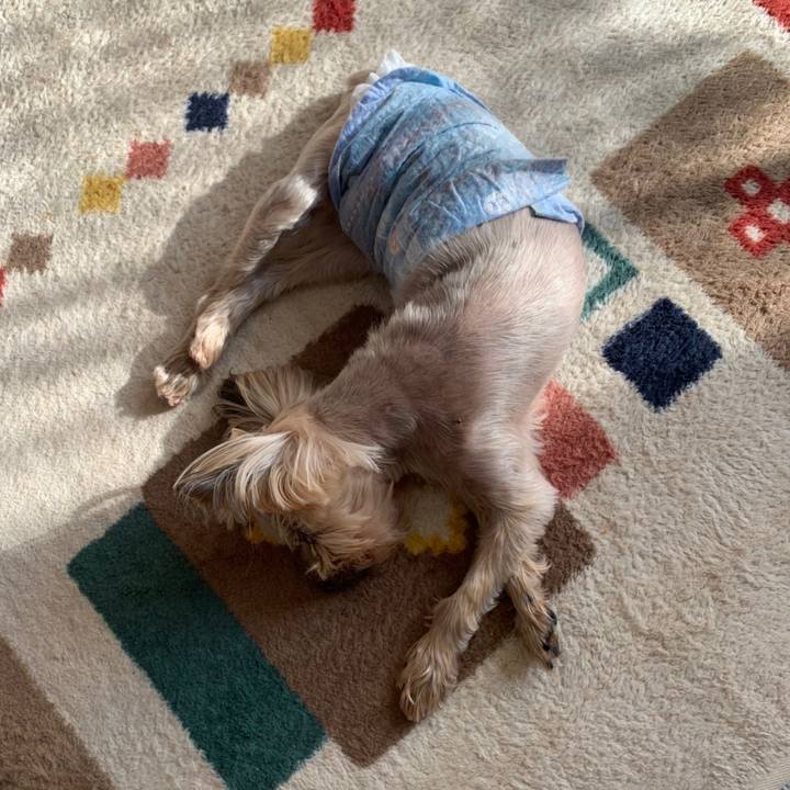 Fbe67c1c 1c99 46d4 8e27 a70c6951b8d7 1676451766934