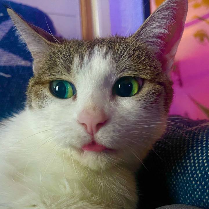 Fbe68b9f 6e22 4945 b00c 34e2b93051d9 1627549926681