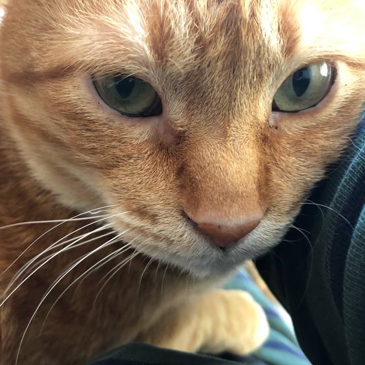 Fbe6a312 d961 4750 9e6c 9ed2e06bcdc4 1615587754851