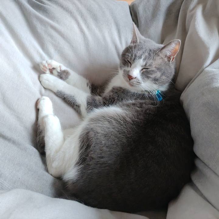 Fbe6cbcd 636c 492f 91ce 815f1e49632d 1682470060548