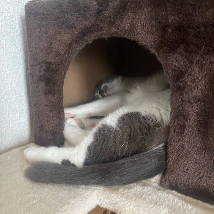 Fbe6d06b 8b5a 4b5e 95cd 0b111c041aad 1688688919950