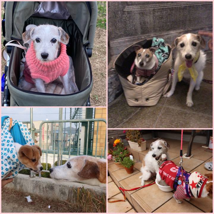 Fbe71030 c47a 44fa aa7b 90d730081297 1642897772801