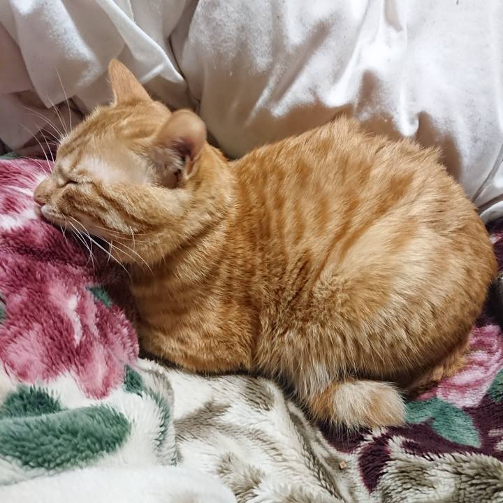 Fbe71243 f352 43f1 80fe 37dfbb3a9a4e 1642941271667