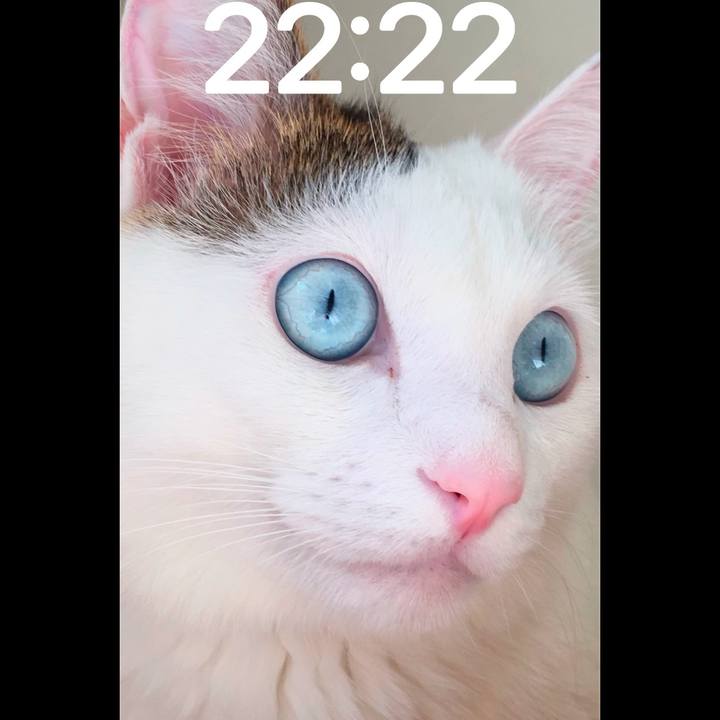 Fbe72332 df03 4129 b195 b3776d5860ff 1734518794148