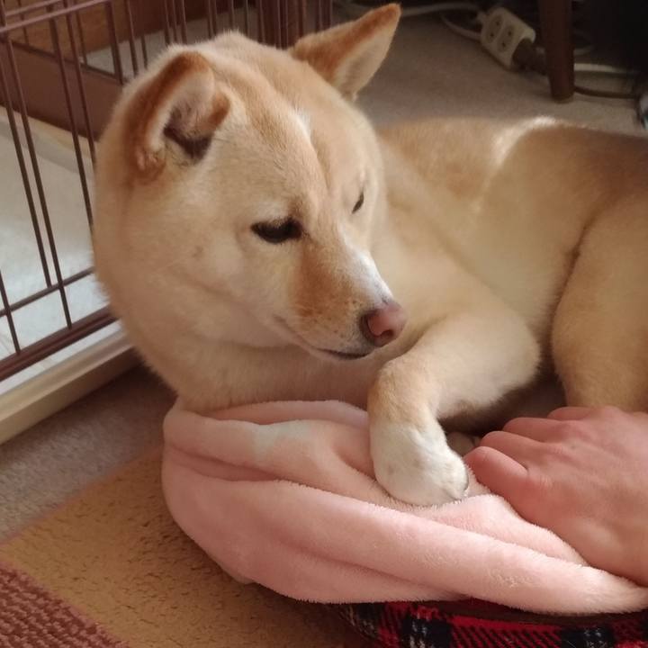 Fbe750f8 722e 4ca1 84eb 4f718d13097a 1551745927544