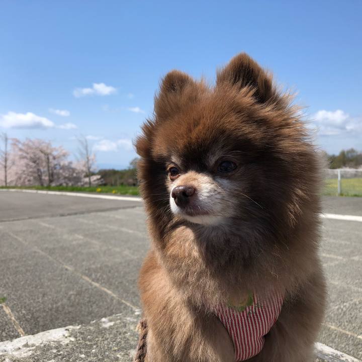 Fbe766d5 4ced 4dc9 b7c2 29ac221542e2 1619850831705