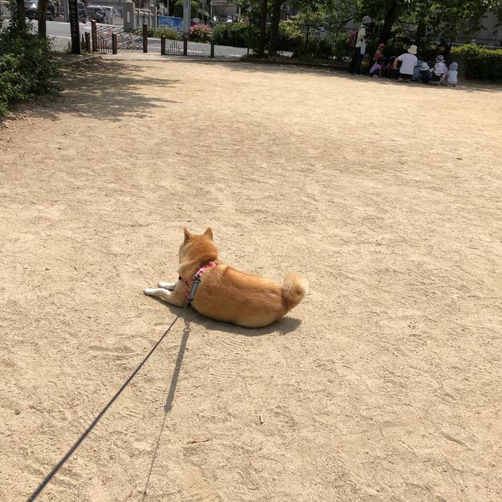 Fbe77624 3b86 48ed a989 f150eb6dbf29 1558045690075