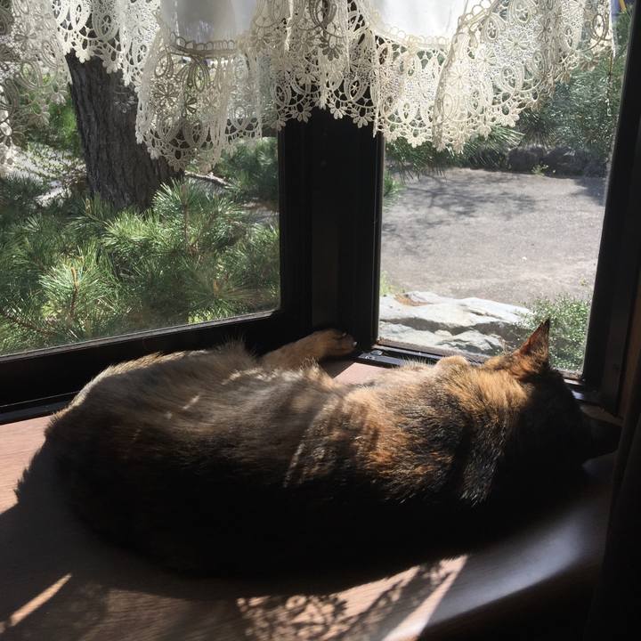 Fbe789b8 0878 42db 99ee a7cc110b3a69 1555996880464