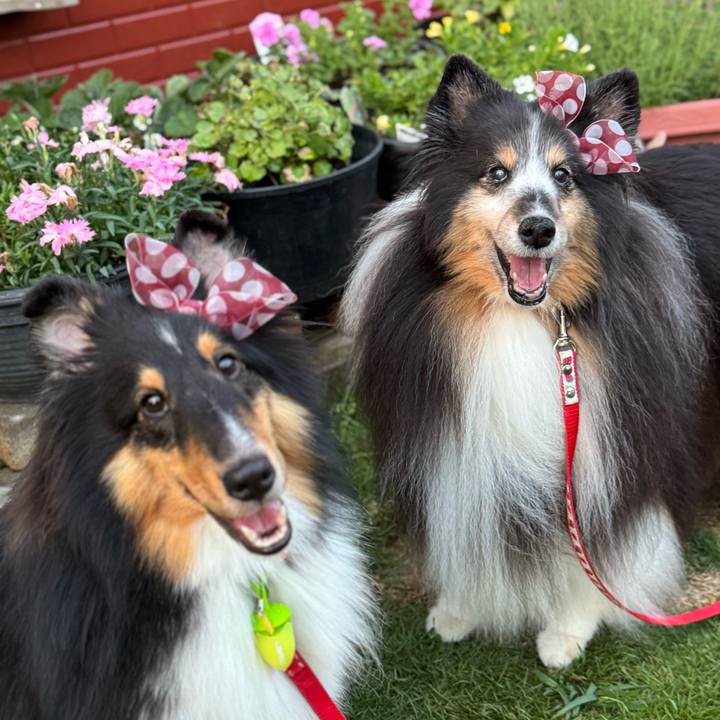 Fbe7af91 5a5a 4889 978b bb20ae3e6ff7 1750269628113