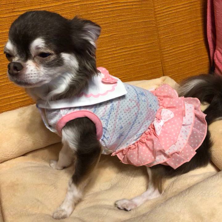 Fbe7b776 a928 4ea9 b01d 376e4ebd806d 1534082816660