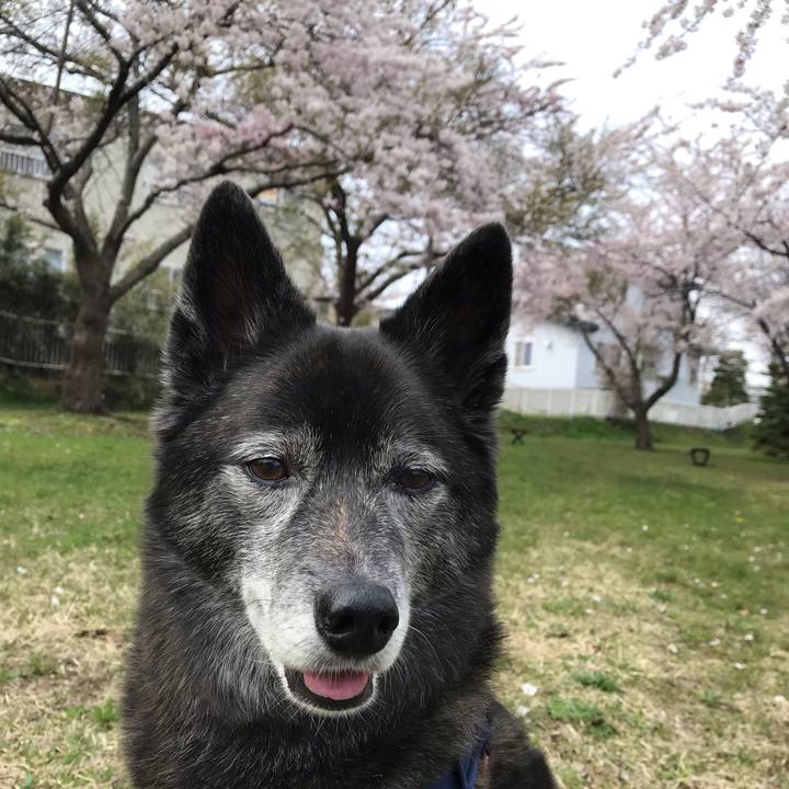 Fbe7b801 b0fe 412f 8d9f be45714358cc 1588676687310