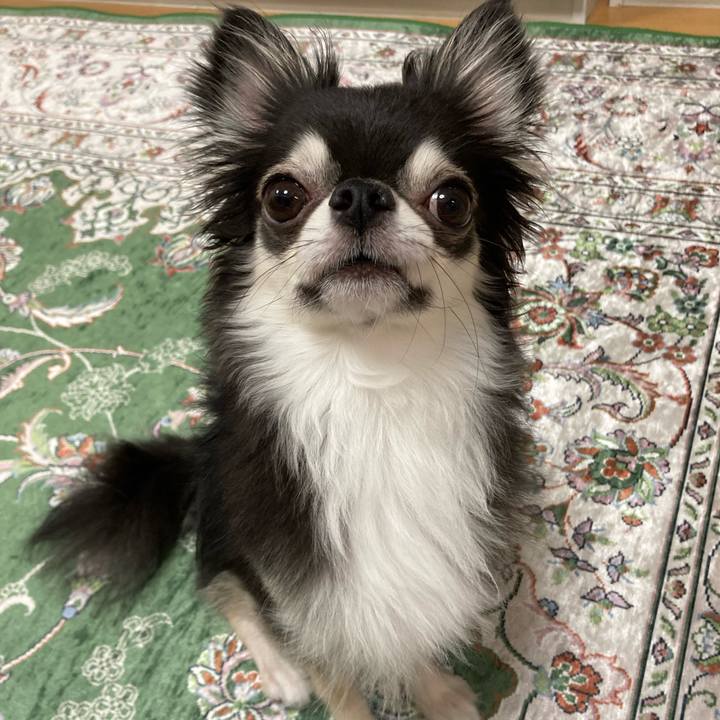 Fbe7ba20 1fcd 4443 aeff b8e35220defc 1659878865839