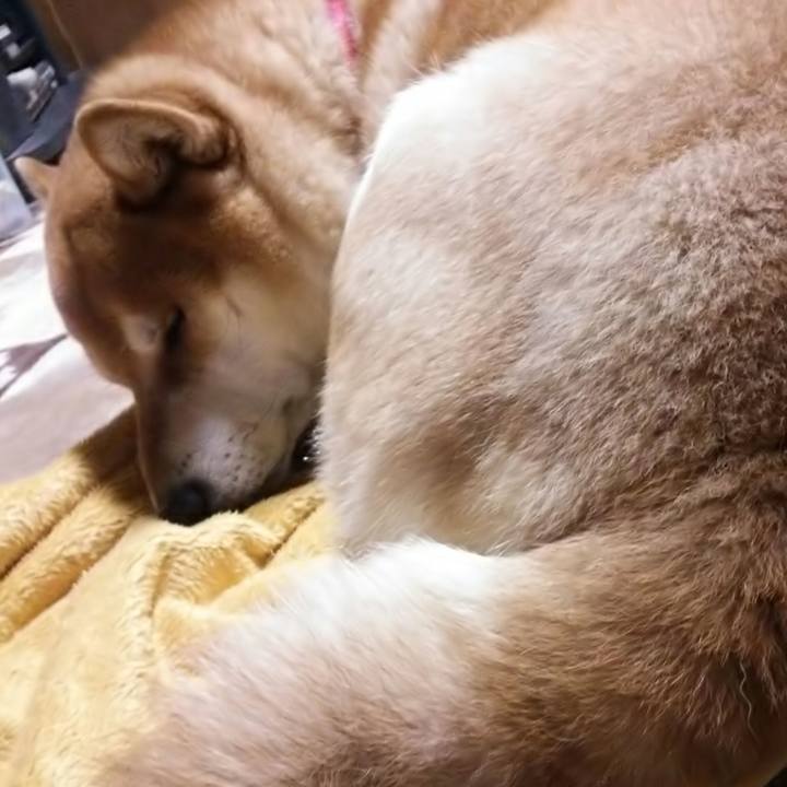 Fbe7d3fc 00a3 4145 bda4 111bf71aac72 1510982387950