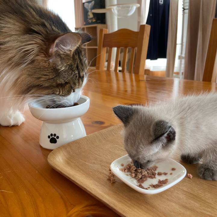 Fbe80811 d624 4e39 a0ca ced67399e9ec 1686370443342