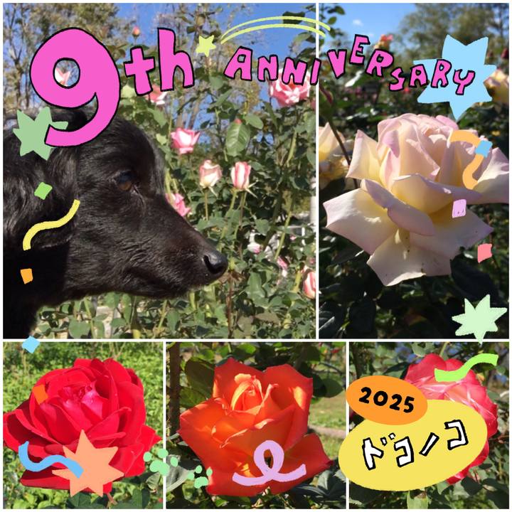 Fbe8301e dce1 46b0 8ec2 5dfe74ae9e13 1749092380987