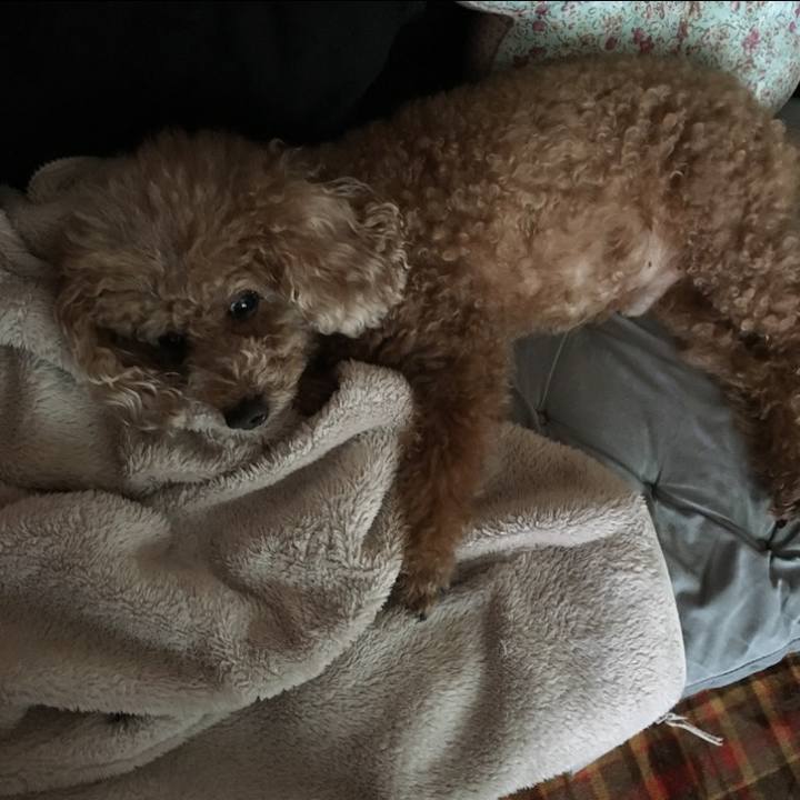 Fbe84d5d 51e0 40b3 9d44 c1d2b8bb4dab 1569592031058