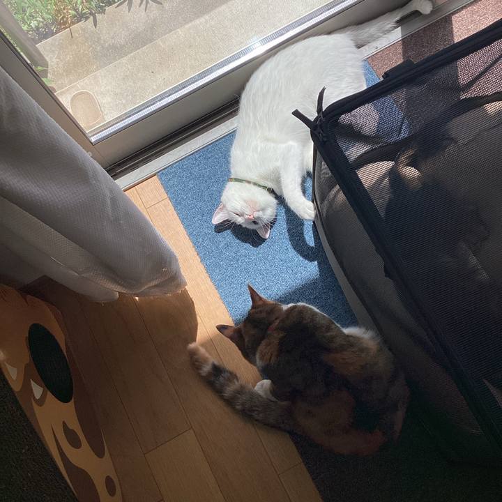 Fbe84eaa 7338 4513 8095 1dc9c3656f61 1650858650721