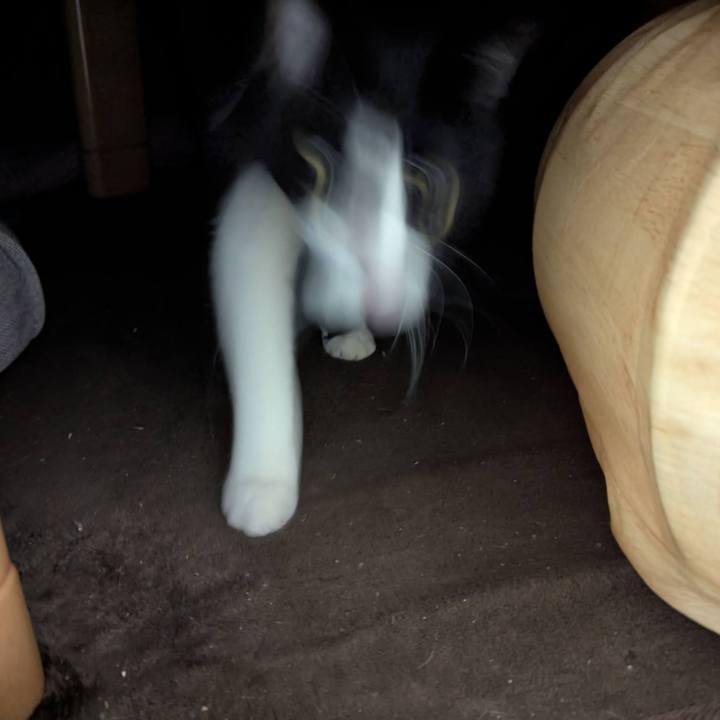 Fbe85f32 0445 430b bc89 04e31af58655 1769177318956