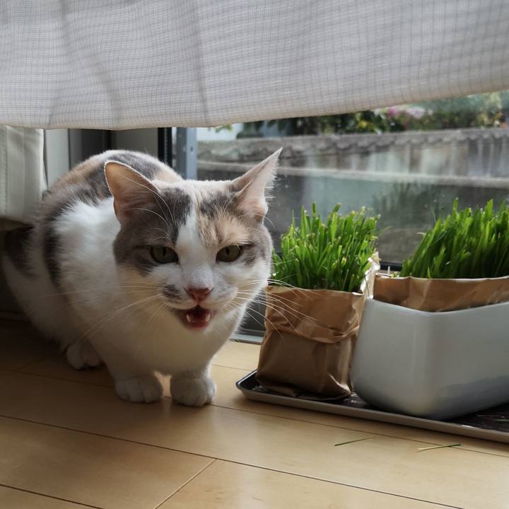 Fbe86763 05a0 4c76 8037 b27d06145cbc 1587960367397