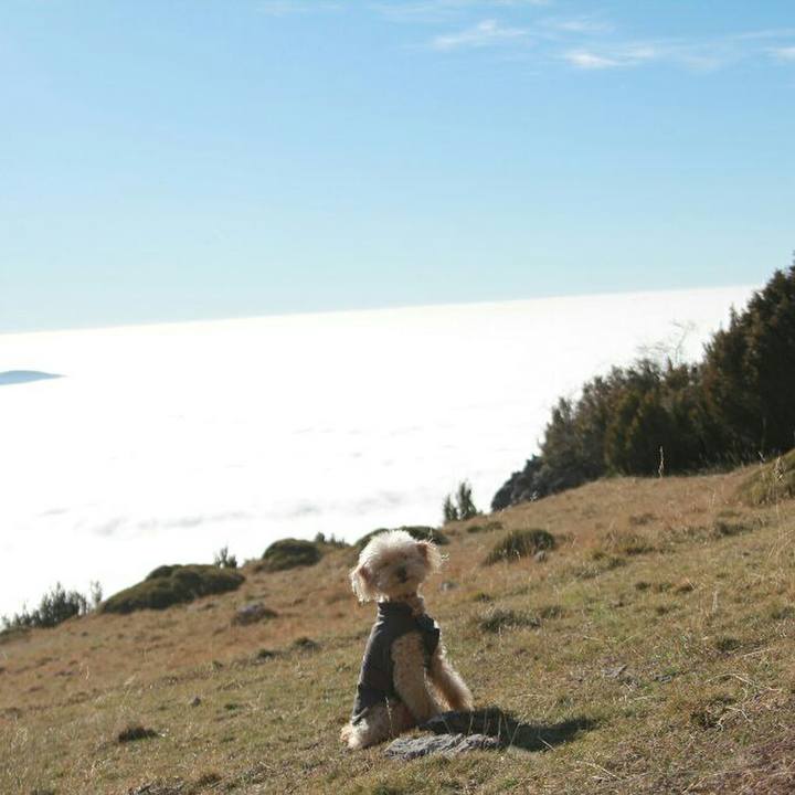 Fbe8840f cc4b 474c 8812 db5de9135531 1578924465881