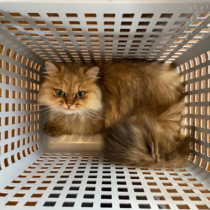 Fbe8c177 bcb0 4ba8 bee0 b412090c8d62 1591407622382