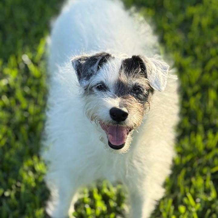 Fbe8d976 495d 4a74 a042 6958ffe2c09b 1776467722163