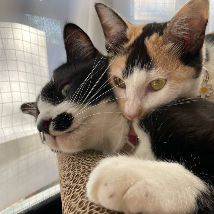 Fbe92b0a ead9 4960 81f7 8891d614d019 1673309078469