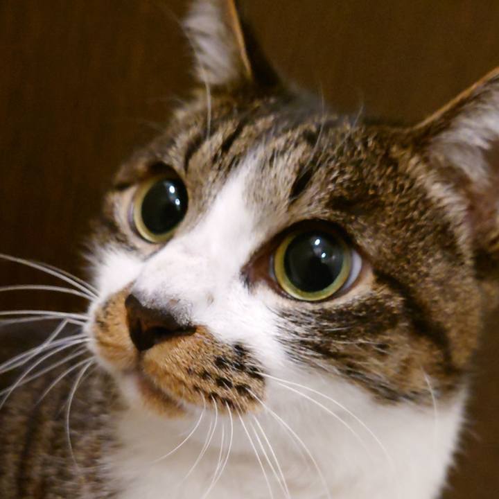 Fbe95ff9 aa69 43c3 a026 2f9980f25784 1761999051146