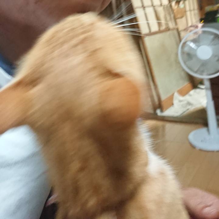 Fbe98faf 9d81 4d1b b841 47f767a6502a 1598991387923