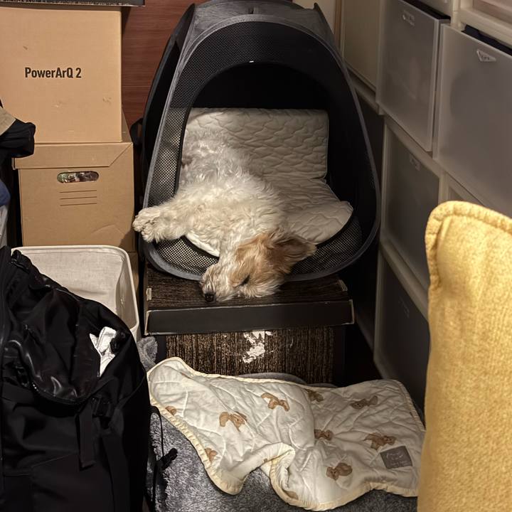 Fbe9a1d0 8ddf 44dd a52c 390b04f06ea9 1774872271091