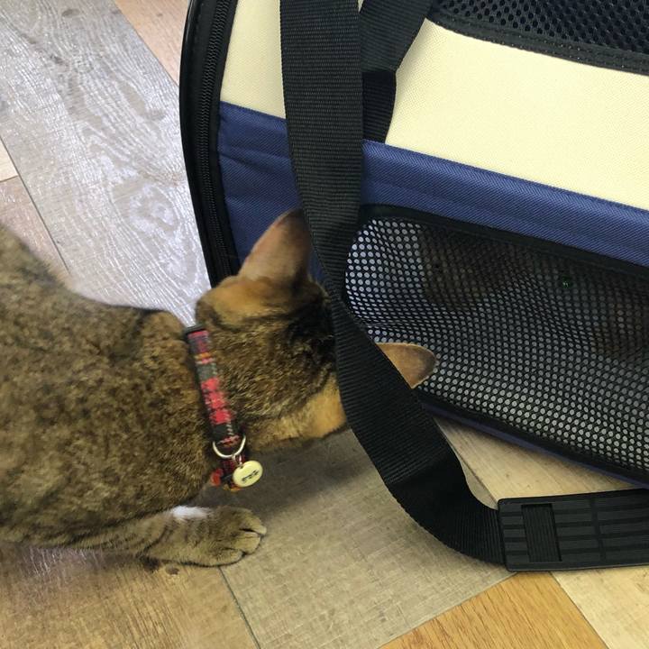 Fbe9d052 b49f 4085 97e7 1e12bd88c756 1601801583297