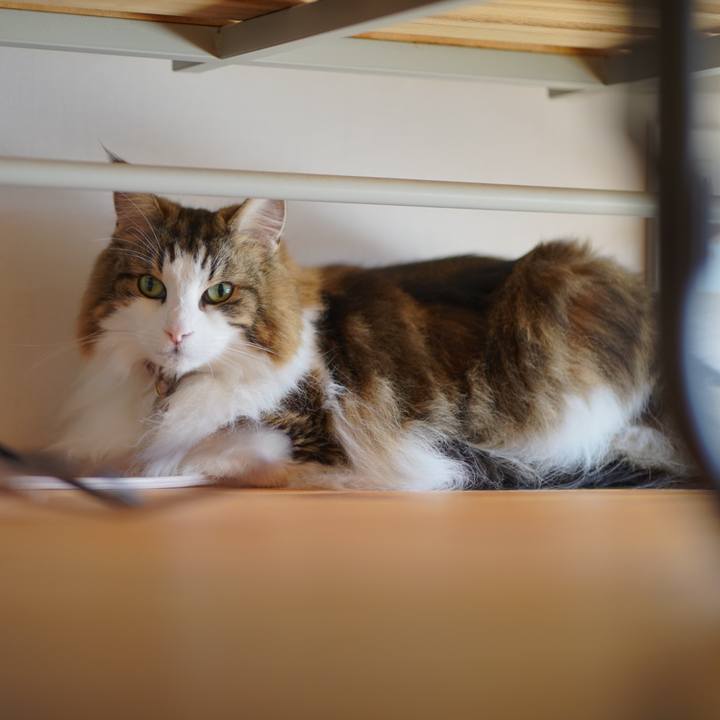 Fbe9dbd4 932e 491e af57 15c0a3d92273 1700542419485