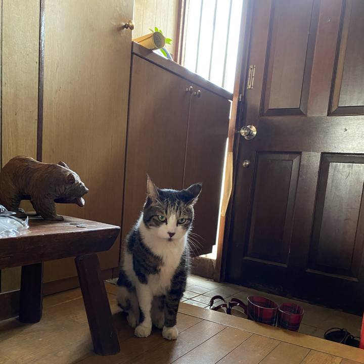 Fbe9f24f 5b57 4fed bfa6 05c906483cdb 1627298410976