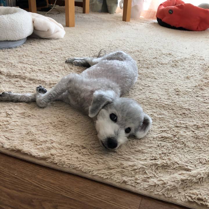 Fbea0450 cd07 44a4 b591 f52a67ca96b6 1588307789227