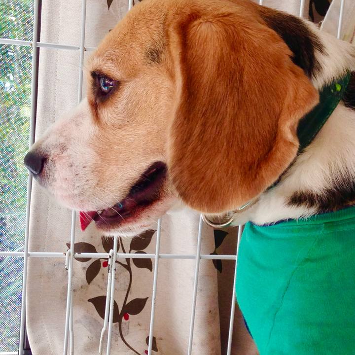 Fbea216f c1fe 4179 acc1 38394ea21fc2 1747519356817