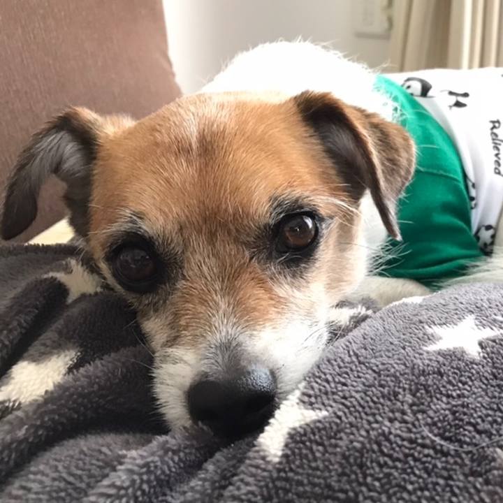 Fbea6d2a d237 436a 9738 13afff88163b 1558588085826