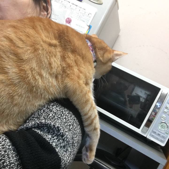 Fbead6c7 579c 4414 855c 21159d5d579b 1549192694515