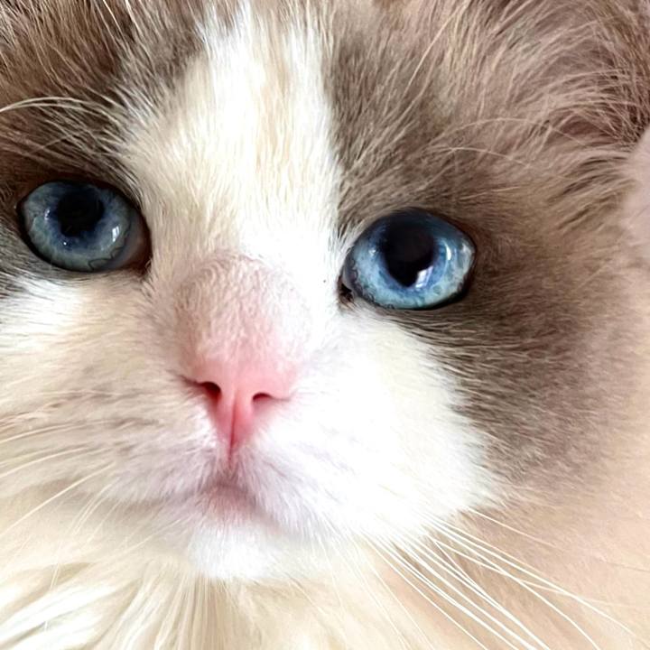 Fbeb0933 5772 4d4d a5af e5df57a5de31 1708165523905