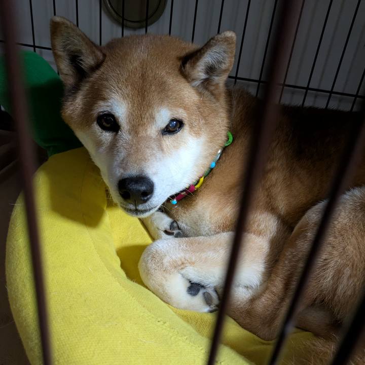 Fbeb0b45 6d12 41eb 9c03 4941c50d4d60 1742819519453