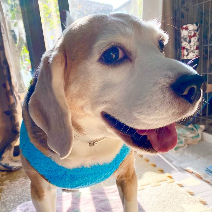 Fbeb101b ffb1 41fe a76c c43ebf8a78c8 1606451528352