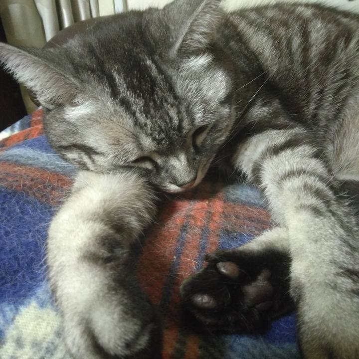 Fbeb48c6 fc7b 4d5c b337 098899c8a006 1768561875528