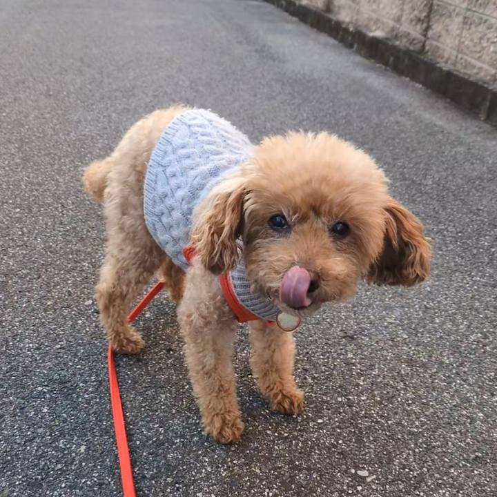 Fbeb57ed f148 4d0d 88fd cb82fa312c03 1765843547288