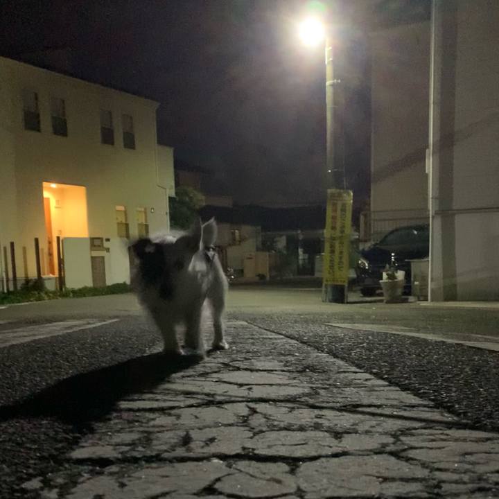 Fbeb66c9 9cff 4075 98d0 4932dbe81811 1657454523454