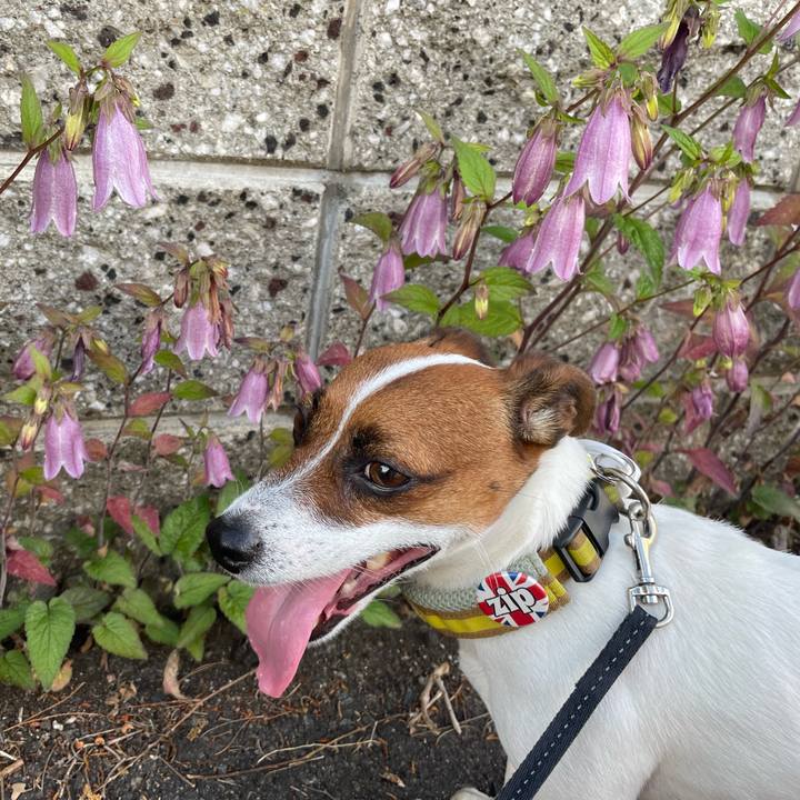 Fbeb7281 6a69 407e bd30 eb77327be8eb 1655981652921