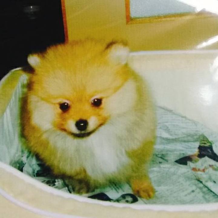 Fbeb74c5 29c9 4b1b ae14 6b878e7c99e4 1547975036590