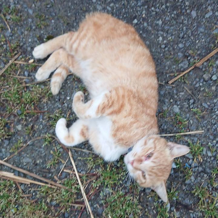 Fbebbc01 534a 49b8 85ec d163b3b30c53 1558430641566